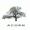 Acorn Campus Ventures logo