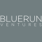 BlueRun Ventures logo
