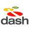 Dash Navigation Inc logo