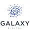 Galaxy Digital Ventures LLC logo