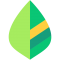 Mint.com logo
