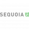 Sequoia Scout Fund logo