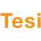 Finnish Industry Investment Ltd TESI logo