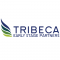 Tribeca Early Stage Partners logo