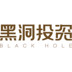Black Hole Capital Ltd logo