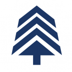 BlueTree Allied Angels logo
