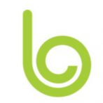 blume global logo