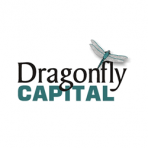Dragonfly Capital Partners LLC logo