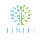 Lintel Financial Services Ltd logo