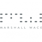 Marshall Wace Long Strategies ICAV-MW Global Opportunities Long-Only Fund logo