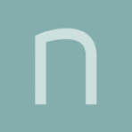 Nervana Systems Inc logo