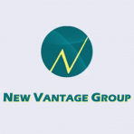 New Vantage Group logo