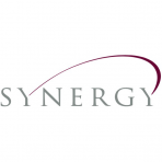 Synergy Ventures logo