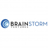 Brainstorm Ventures International LLC logo