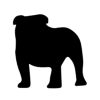 Bulldog Innovation Group LLC logo