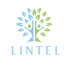 Lintel Financial Services Ltd logo