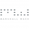 Marshall Wace Long Strategies ICAV - MW Tops Emerging Markets Fund logo