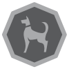 Sighthound Inc logo